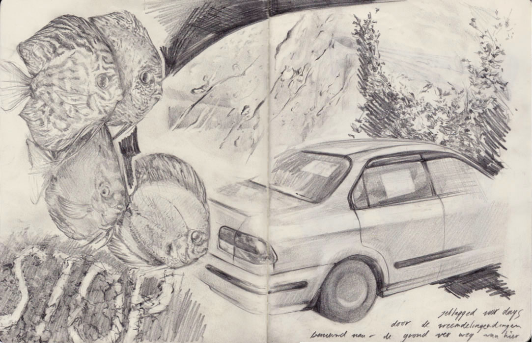 Pencil sketch on paper